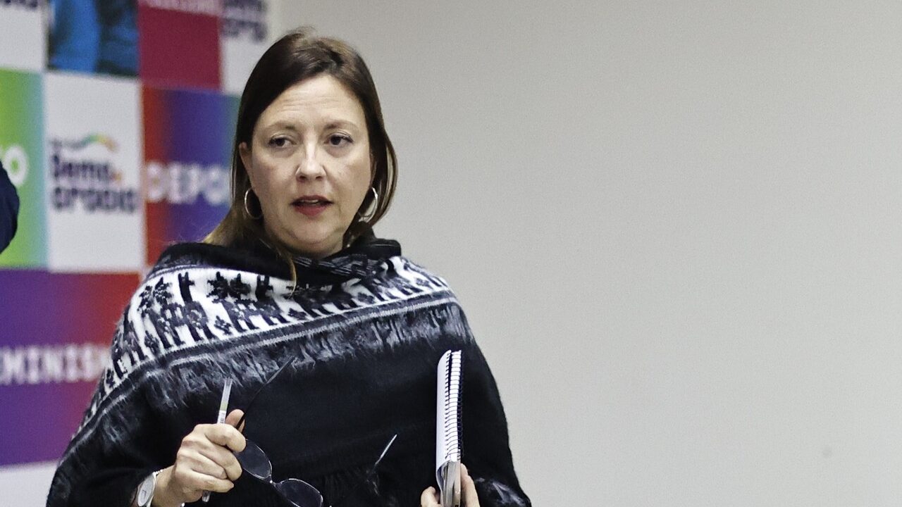 Natalia Piergentili Presidenta Del Ppd En Semana Clave Constitucional “si Bien Hay Distancias